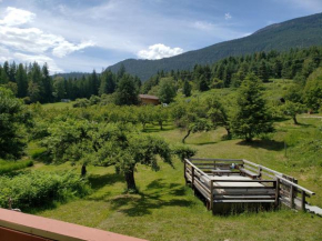 Cherry Cove Cabins